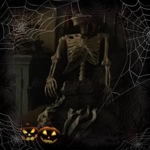 Meet your Posher, Shelley